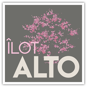 ilot-alto-logo.png